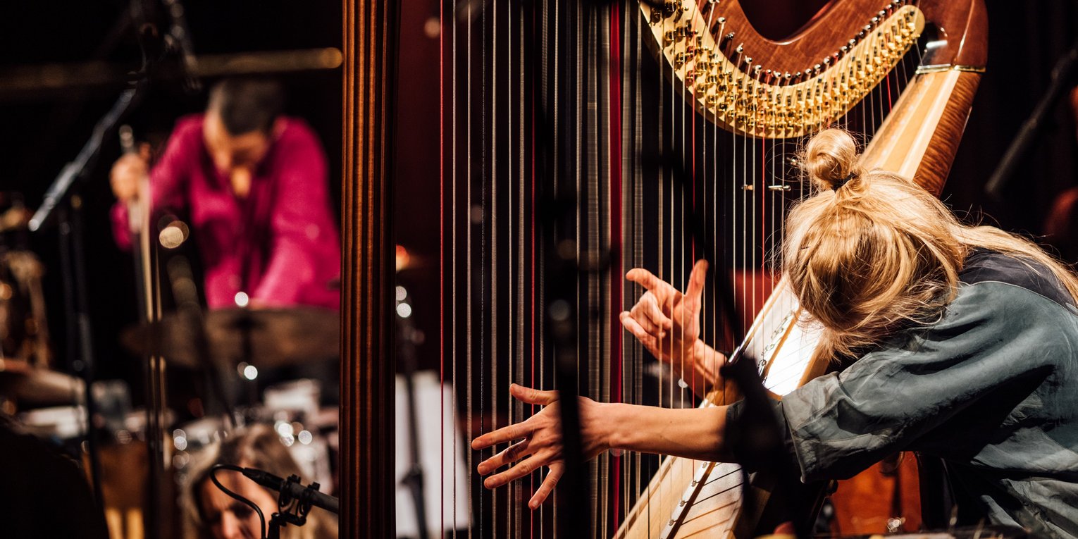 Eine Harfespielerin spielt während eines Konzertes versunken ihr Instrument.