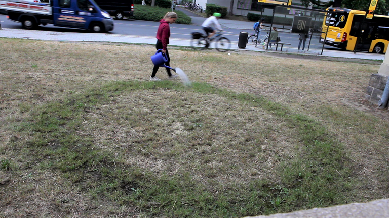 Standbild eines Videos, auf dem eine Frau den vertrockneten Rasen an einer Straße gießt. Dabei bewässert sie nur einen kreisrunden Ring, dessen Gras sich grün hervorhebt.