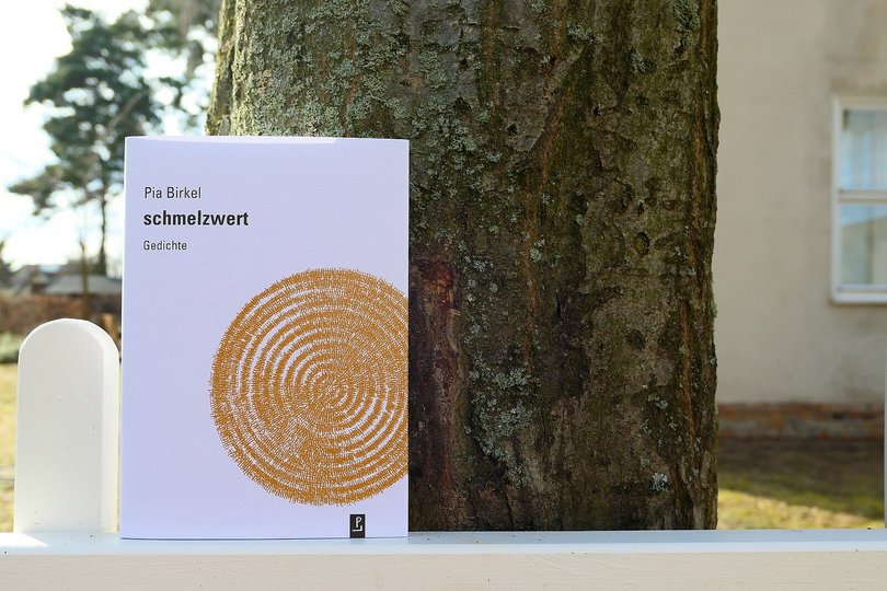 Das Buch "schmelzwert" von Pia Birkel ist auf einem Gartenzaun vor einem Baumstamm aufgestellt.