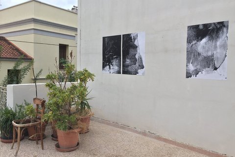 In der Ecke einer Terrasse stehen mehrere Kübel mit Pflanzen und Bäumen. An der Wand sind drei abstrakte Arbeiten in schwarz und weiß angebracht. 