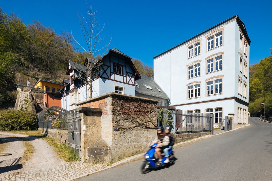 Das Max Uhlig Haus bestehend aus blauem Wohn- und Atelierhaus im Industriestil zwischen einem angrenzenden Wald und einer Straße.  