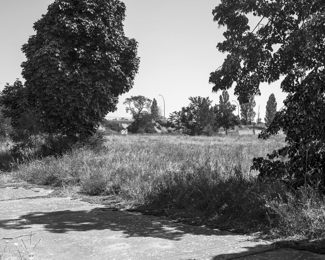 Ein Schwarz-Weiß-Foto von einem Feld mit Bäumen.