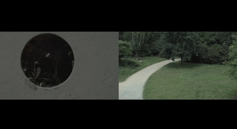 Ein schwarzer Kreis auf grauen Hintergrund zeigt sich links, während rechts ein schmaler Weg von einer Wiese und Bäumen begrenzt wird. 