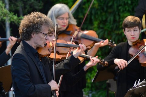 Eine Gruppe von Streichern spielt konzentriert ein Konzert.